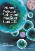 Cell and Molecular Biology and Imaging of Stem Cells ()