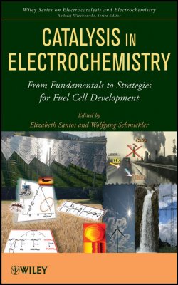 Книга "Catalysis in Electrochemistry. From Fundamental Aspects to Strategies for Fuel Cell Development" – 