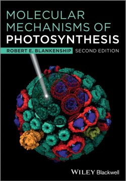 Книга "Molecular Mechanisms of Photosynthesis" – 