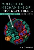 Molecular Mechanisms of Photosynthesis ()