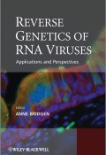 Reverse Genetics of RNA Viruses. Applications and Perspectives ()