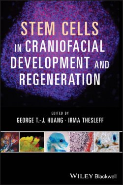 Книга "Stem Cells in Craniofacial Development and Regeneration" – 