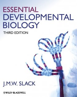 Книга "Essential Developmental Biology" – 