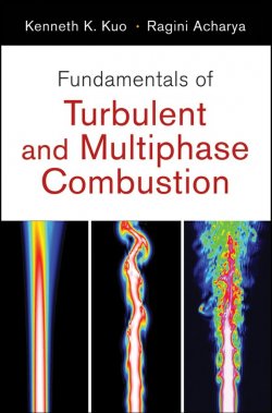 Книга "Fundamentals of Turbulent and Multi-Phase Combustion" – 