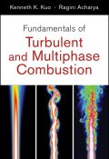Fundamentals of Turbulent and Multi-Phase Combustion ()