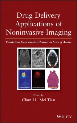Книга "Drug Delivery Applications of Noninvasive Imaging. Validation from Biodistribution to Sites of Action" – 