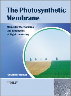 Книга "The Photosynthetic Membrane. Molecular Mechanisms and Biophysics of Light Harvesting" – 