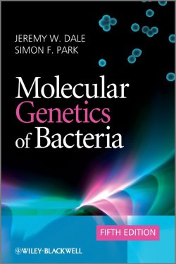 Книга "Molecular Genetics of Bacteria" – 
