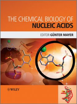 Книга "The Chemical Biology of Nucleic Acids" – 
