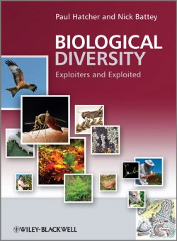 Книга "Biological Diversity. Exploiters and Exploited" – 