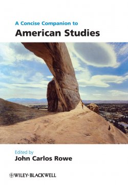 Книга "A Concise Companion to American Studies" – 
