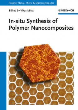 Книга "In-situ Synthesis of Polymer Nanocomposites" – 