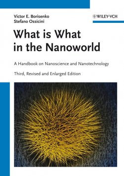 Книга "What is What in the Nanoworld. A Handbook on Nanoscience and Nanotechnology" – 
