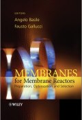 Membranes for Membrane Reactors. Preparation, Optimization and Selection ()