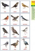 Перелетные птицы. Раздаточные картинки (набор из 16 карточек) (, 2017)