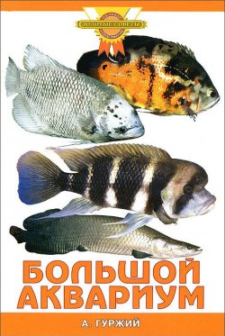 Книга "Большой аквариум" – , 2010