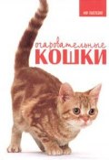 Очаровательные кошки (, 2006)