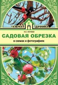 Садовая обрезка в схемах и фотографиях (Ирина Окунева, 2018)