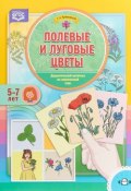 Полевые и луговые цветы. Дидактический материал по лексической теме. 5 - 7 лет (, 2018)