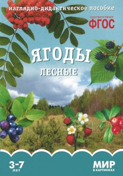Книга "Ягоды лесные. Наглядно-дидактическое пособие. 3-7 лет" – , 2015