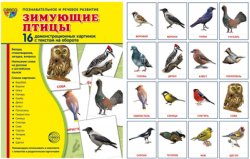 Книга "Зимующие птицы. Демонстрационные картинки (набор из 16 карточек)" – , 2017