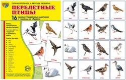 Книга "Перелетные птицы. Демонстрационные картинки (набор из 16 карточек)" – , 2017