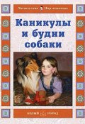 Каникулы и будни собаки (Наталия Ермильченко, 2008)