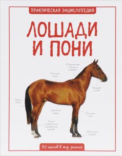 Книга "Лошади и пони" – , 2015