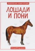 Лошади и пони (, 2015)