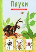 Книга "Пауки, клещи, скорпионы / Школьный путеводитель" (Екатерина Голубева, 2018)