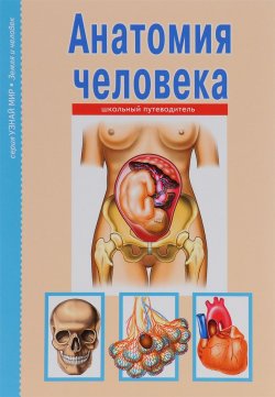 Книга "Анатомия человека. Школьный путеводитель" – , 2015