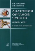 Анатомия органов чувств (глаз, ухо) в схемах и рисунках. Учебное пособие (, 2016)