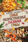 Самые распространенные съедобные грибы (Александр Матанцев-Воинов, Александр Матанцев, Адлександр Матанцев, 2017)
