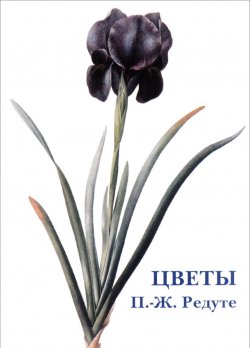 Книга "Цветы (набор из 15 открыток)" – , 2015