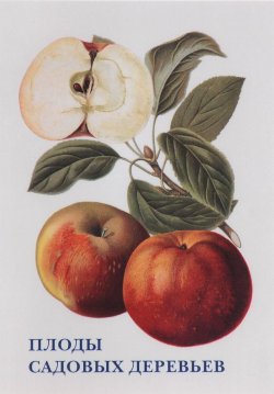 Книга "Плоды садовых деревьев (набор из 15 открыток)" – , 2015