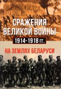 Сражения великой войны 1914-1918 годах на землях Беларуси (А. Н. Петров, 2017)