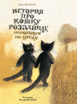 Книга "История про кошку Розалинду, непохожую на других" – , 2015