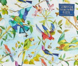 Книга "Блокнот для художественных идей. Райские птицы от дизайнера Карины Кино" – , 2018