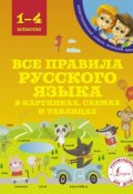 Все правила русского языка в картинках, схемах и таблицах (, 2017)