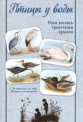 Птицы у воды. Реки касаясь трепетным крылом (набор из 28 карточек) (, 2017)