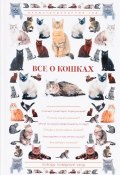 Все о кошках (, 2017)