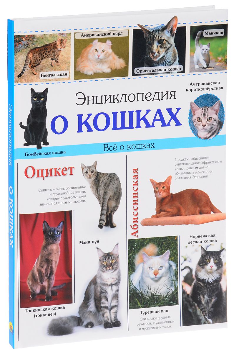 Энциклопедия кошек картинки