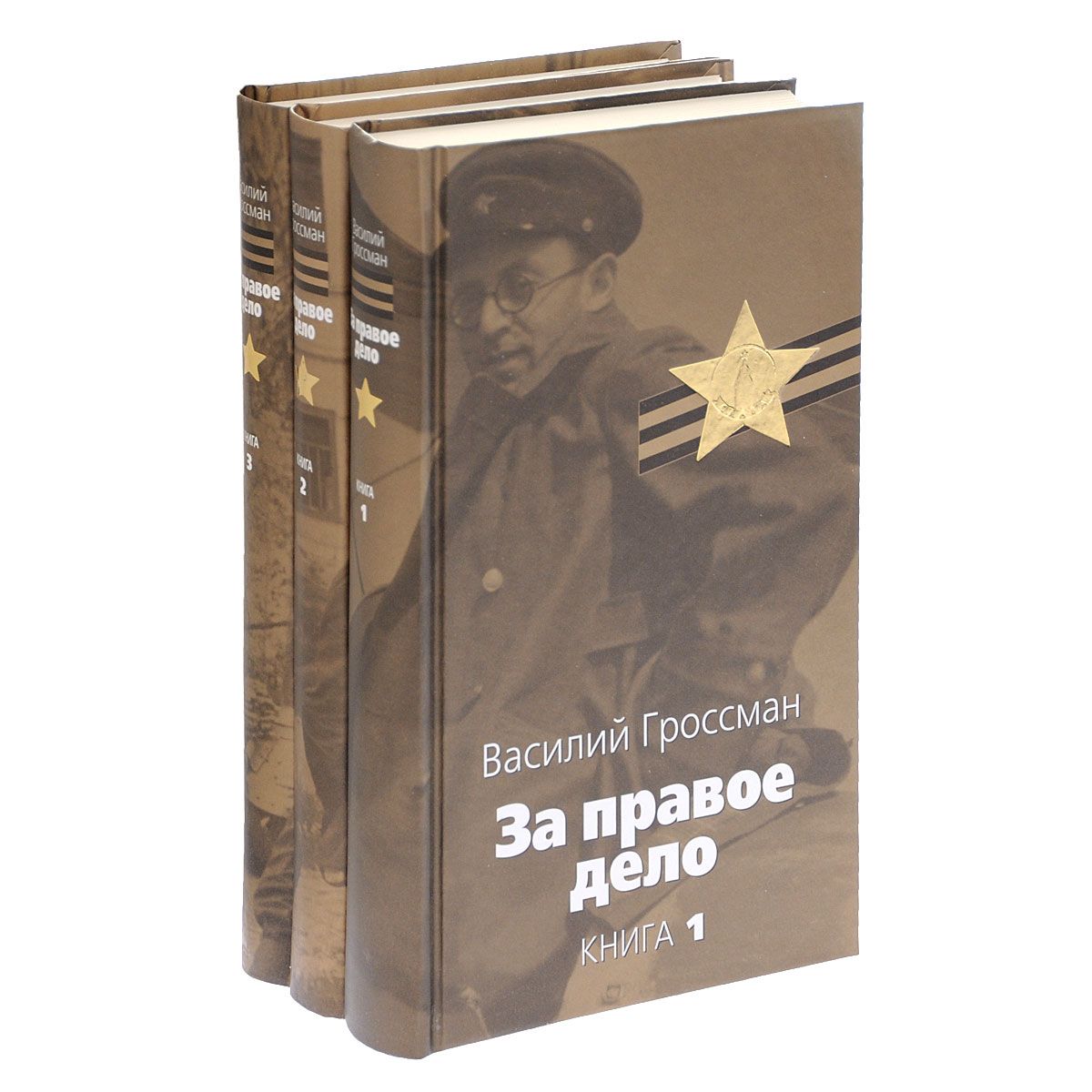 Жизнь и судьба книга. Василий Гроссман за правое дело. Роман 