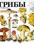 Грибы. 250 видов съедобных, ядовитых и лечебных грибов (Н. А. Замятина, 2013)