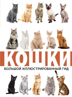 Книга "Кошки" – , 2018