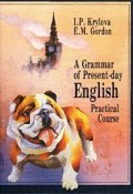 A Grammar of Present-day English. Practical Course (P. I. Filimonov, 2017)