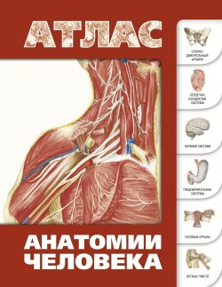 Книга "Атлас анатомии человека" – , 2016