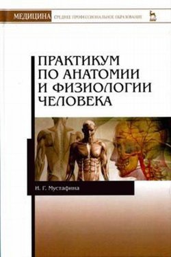 Книга "Практикум по анатомии и физиологии человека. Учебное пособие" – , 2017