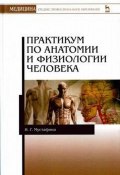 Практикум по анатомии и физиологии человека. Учебное пособие (, 2017)