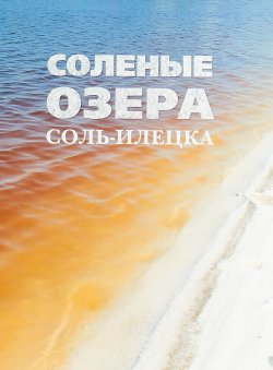 Книга "Соленые озера Соль-Илецка" – , 2017
